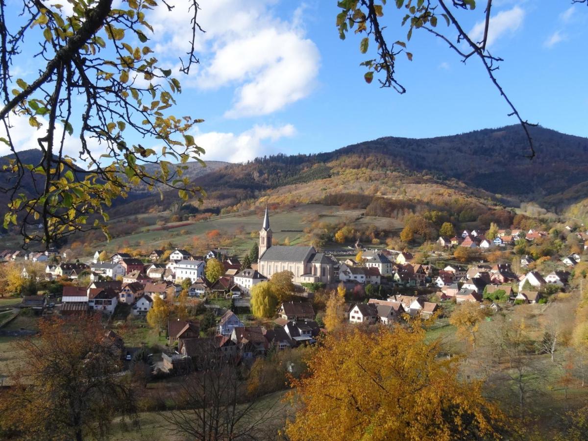 Maison D'Hotes La Cerisaie Bed & Breakfast Breitenbach Exterior photo