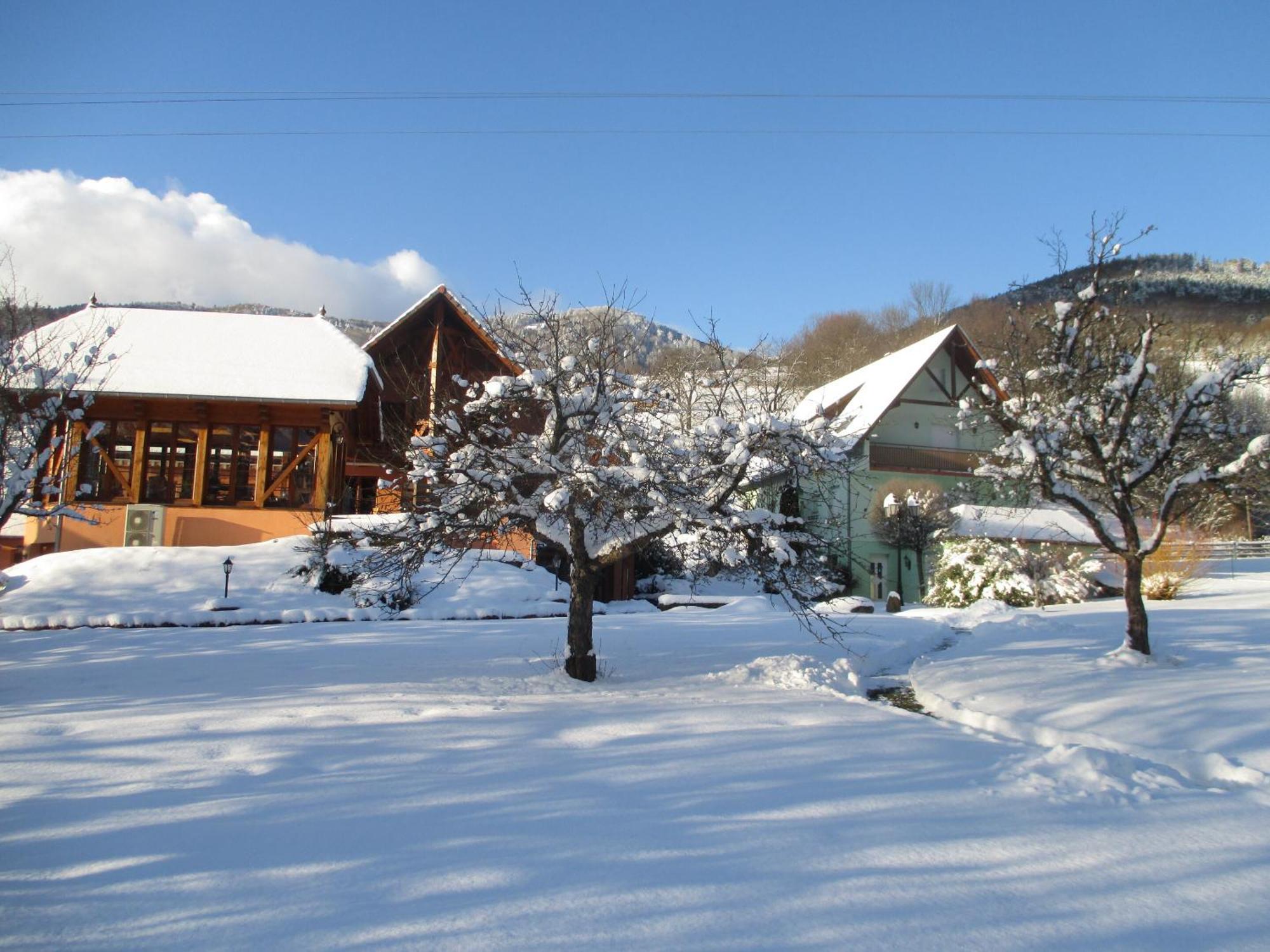 Maison D'Hotes La Cerisaie Bed & Breakfast Breitenbach Exterior photo